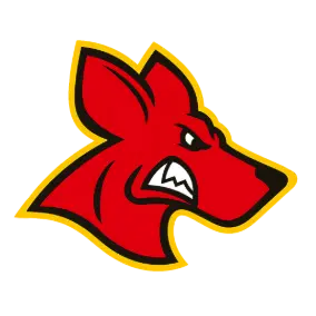 kangourous-de-pessac
